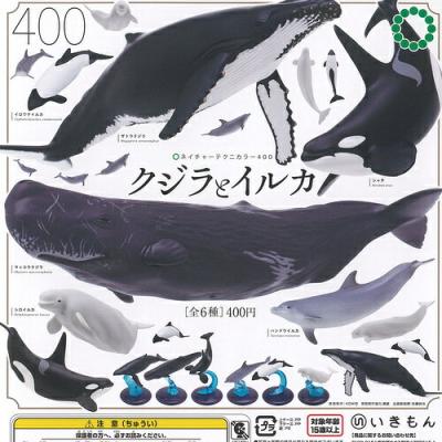 ネイチャーテクニカラー 400 クジラ と イルカ