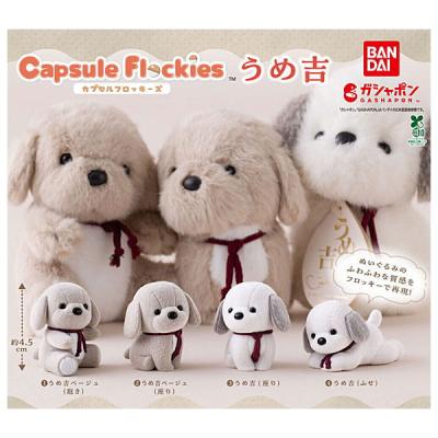 capsule flockies うめ吉