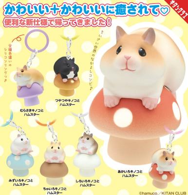 いろいろキノコとハムスター