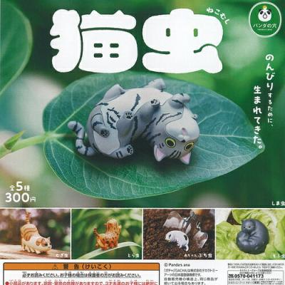 パンダの穴 猫虫