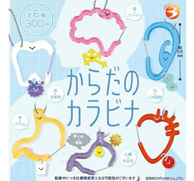 からだのカラビナ