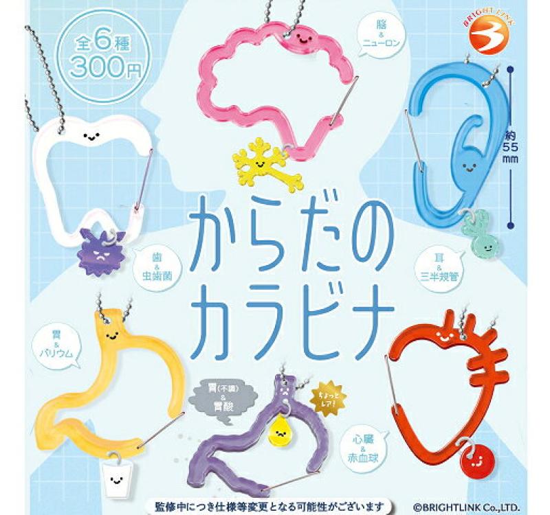 からだのカラビナ