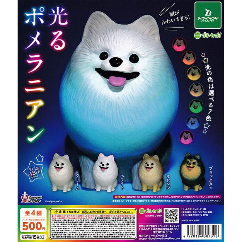光るポメラニアン