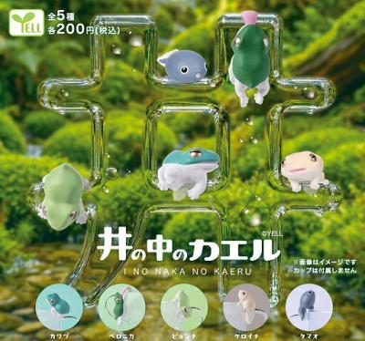井の中のカエル