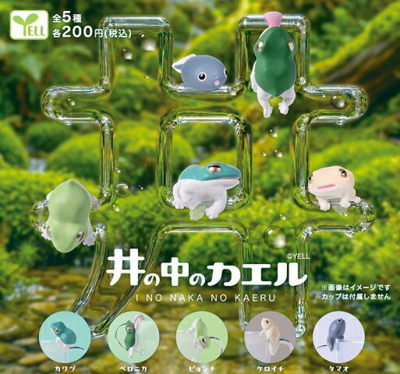 井の中のカエル