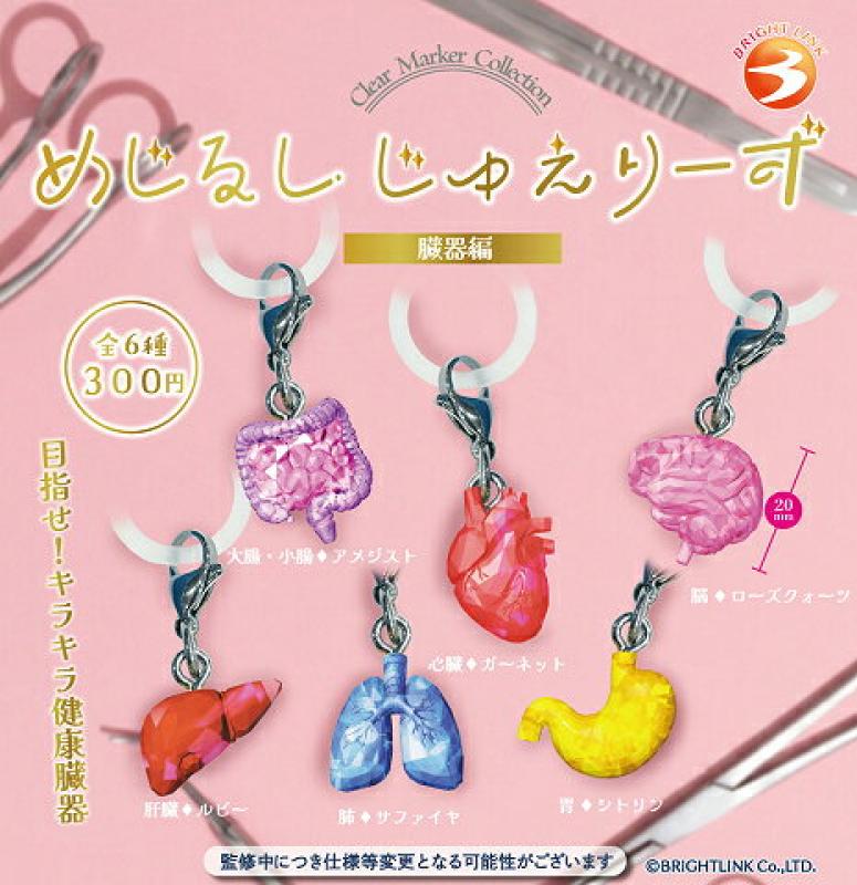 めじるしじゅえりーず 臓器編