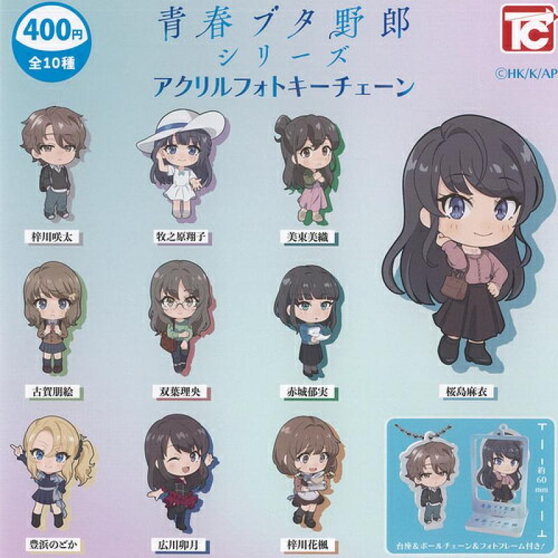 青春ブタ野郎 シリーズ アクリル フォト キーチェーン