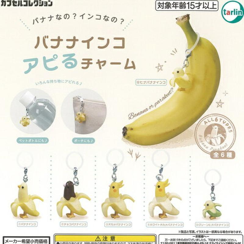 バナナインコ アピる チャーム