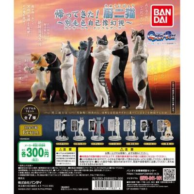 帰ってきた!厨二猫(ちゅうにびょう)~別毛色自己像幻視(アナザーカラードッペルゲンガ―)~