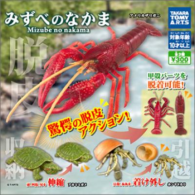 みずべのなかま