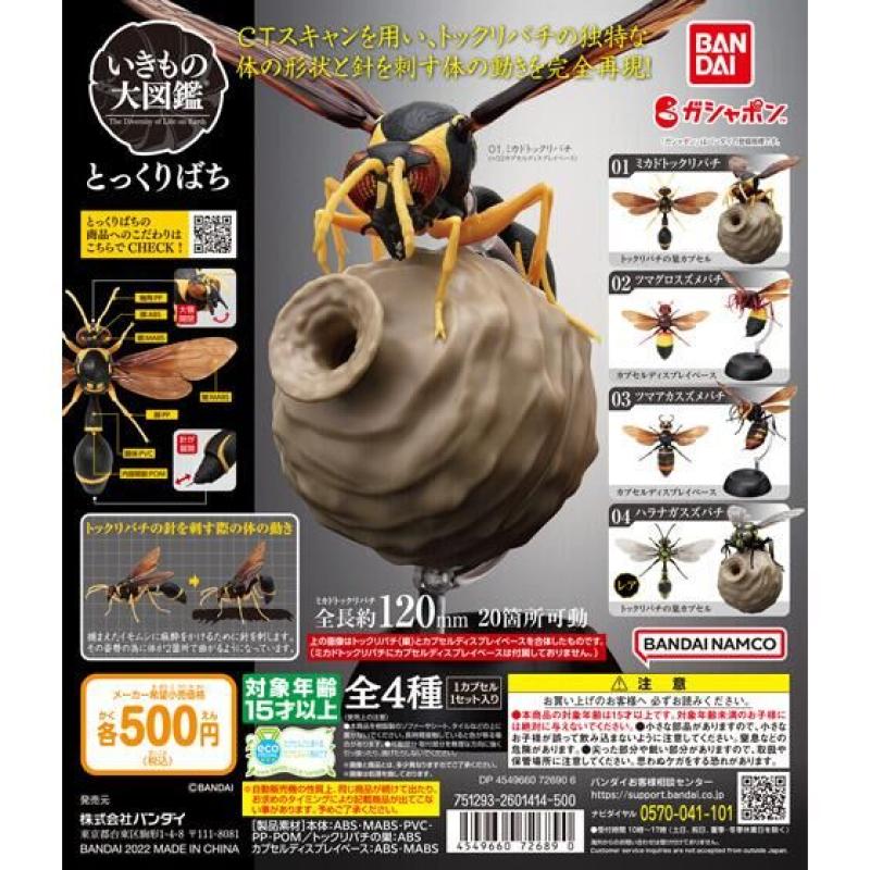 いきもの大図鑑　とっくりばち