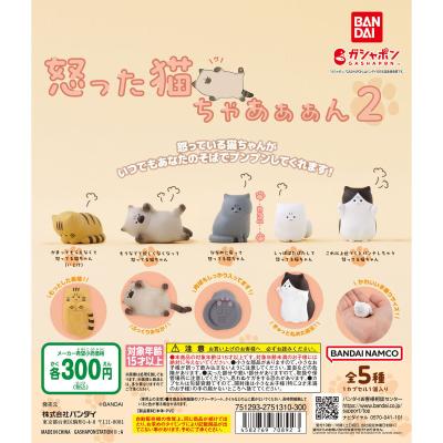 怒った猫ちゃあぁぁん 2