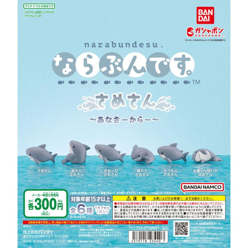 ならぶんです。 さめさん ～あなざーからー～