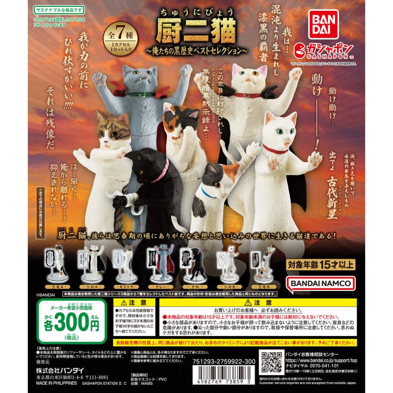 厨二猫（ちゅうにびょう） ～俺たちの黒歴史ベストセレクション～