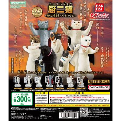 厨二猫(ちゅうにびょう) ~俺たちの黒歴史ベストセレクション~