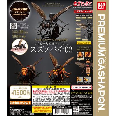 いきもの大図鑑アドバンス スズメバチ02