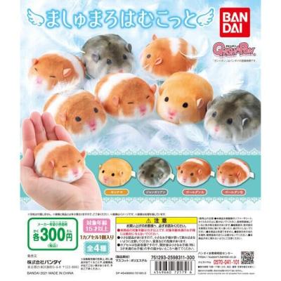 ましゅまろはむこっと