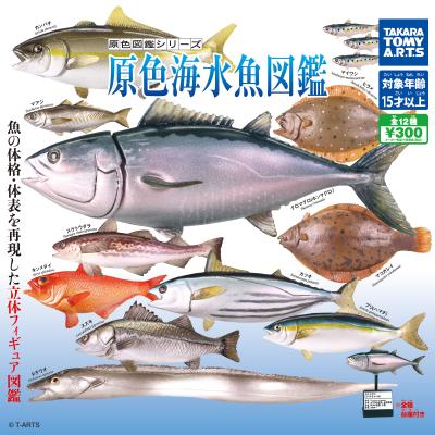 原色海水魚図鑑