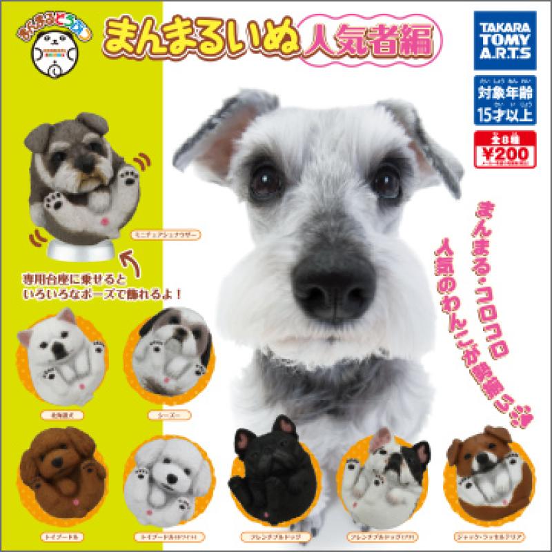 まんまるどうぶつ
まんまるいぬ人気者編