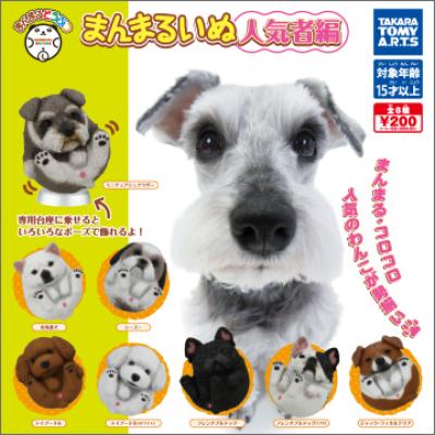 まんまるどうぶつ
まんまるいぬ人気者編