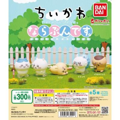 ちいかわ ならぶんです。
