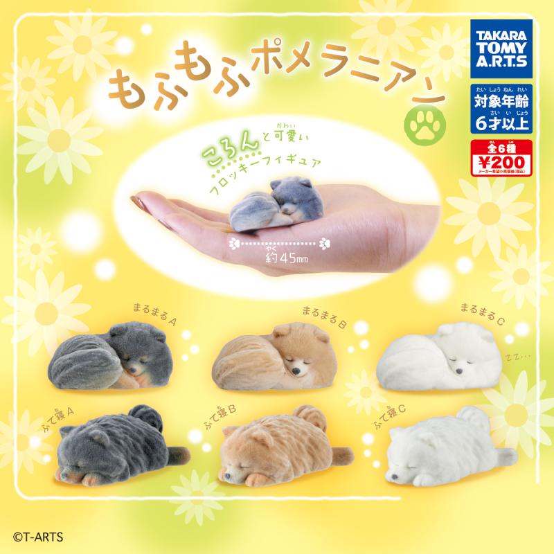 もふもふポメラニアン