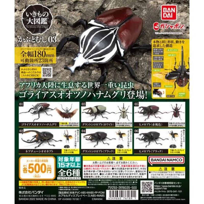 いきもの大図鑑　かぶとむし03