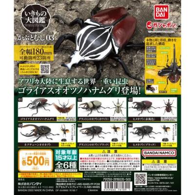 いきもの大図鑑 かぶとむし03