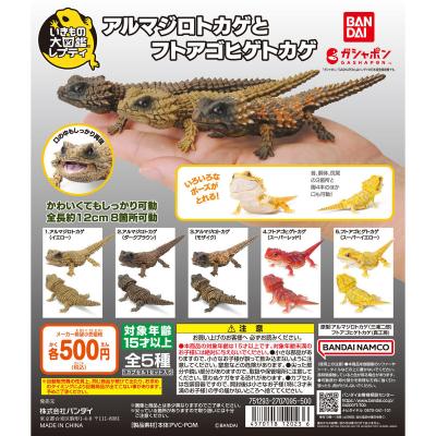 いきもの大図鑑レプティ アルマジロトカゲとフトアゴヒゲトカゲ