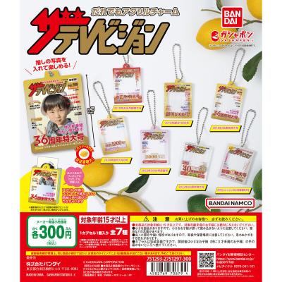 ザテレビジョン だれでもアクリルチャーム