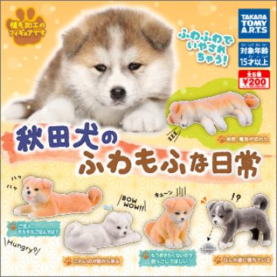 秋田犬のふわもふな日常