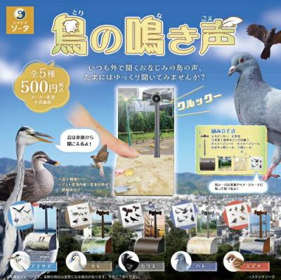 鳥の鳴き声 カプセル版
