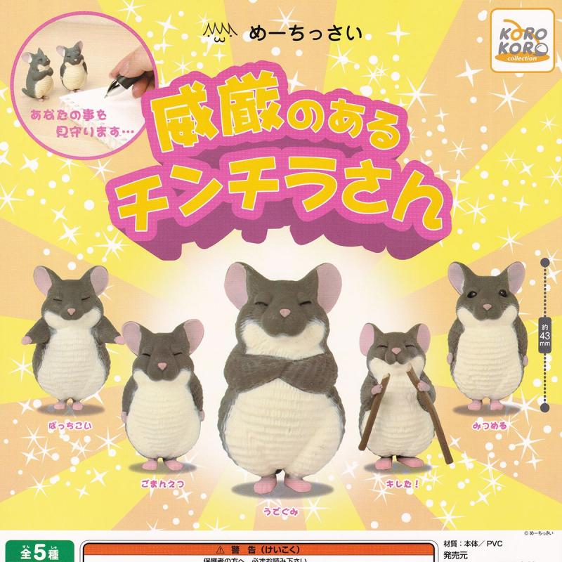 めーちっさい 威厳のあるチンチラさん
