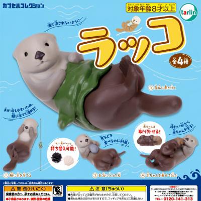 ラッコ ターリン・インターナショナル