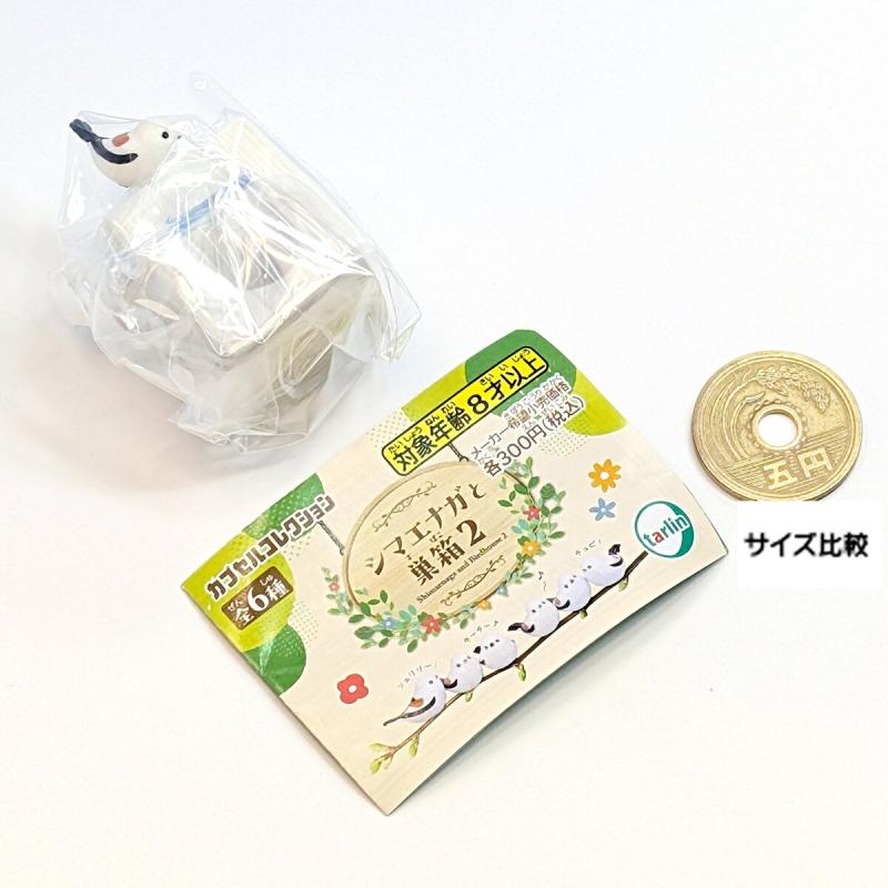 シマエナガと白い巣箱