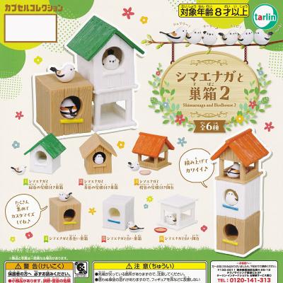 シマエナガと巣箱2