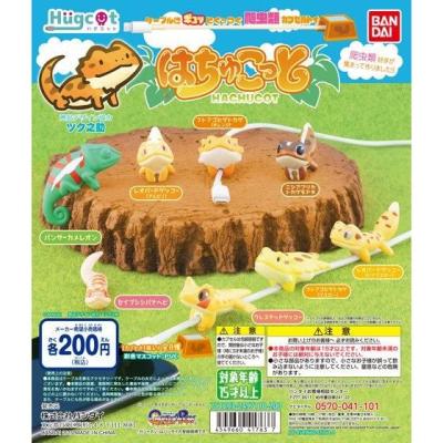 ハグコット はちゅこっと