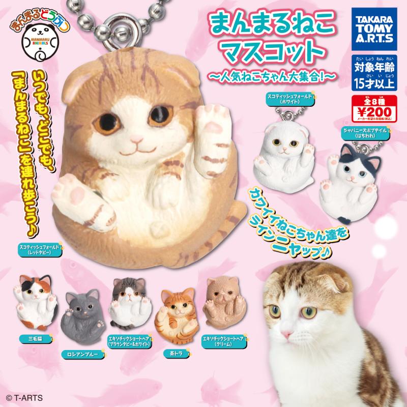 まんまるどうぶつ
まんまるねこマスコット
～人気ネコちゃん大集合！～