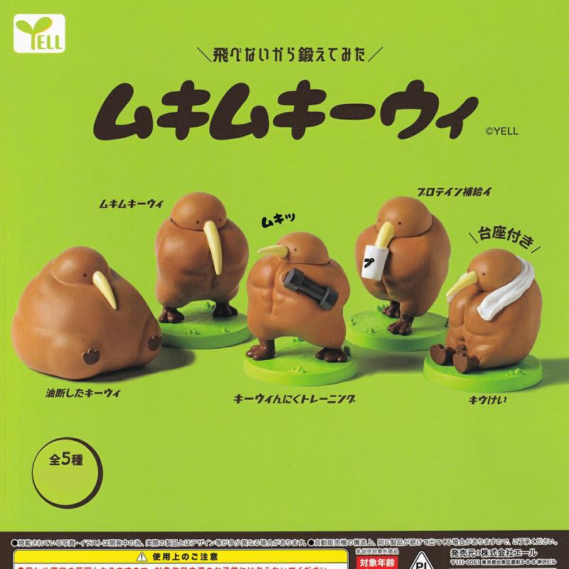 飛べないから鍛えてみた ムキムキーウィ