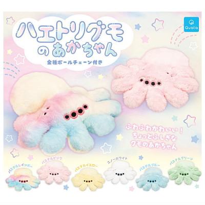 ハエトリグモのあかちゃん