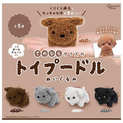 てのひらサイズのトイプードル ぬいぐるみ