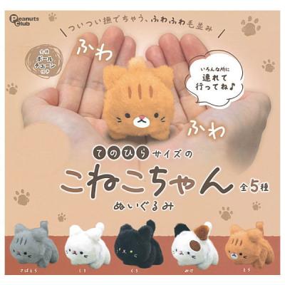 てのひらサイズのこねこちゃん