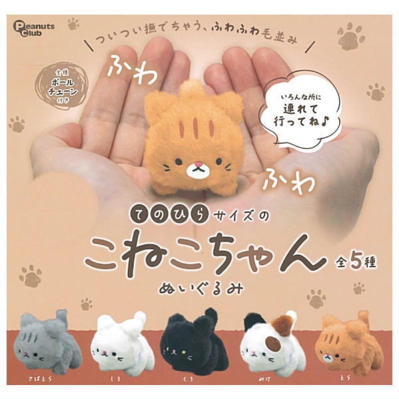 てのひらサイズのこねこちゃん