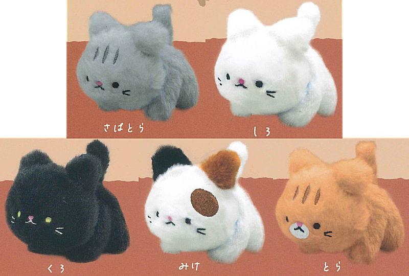 てのひらサイズのこねこちゃん