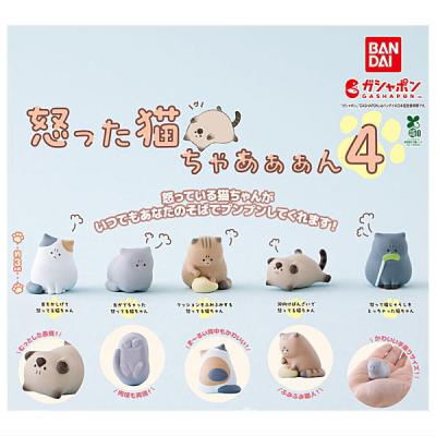 怒った猫ちゃあぁぁん4