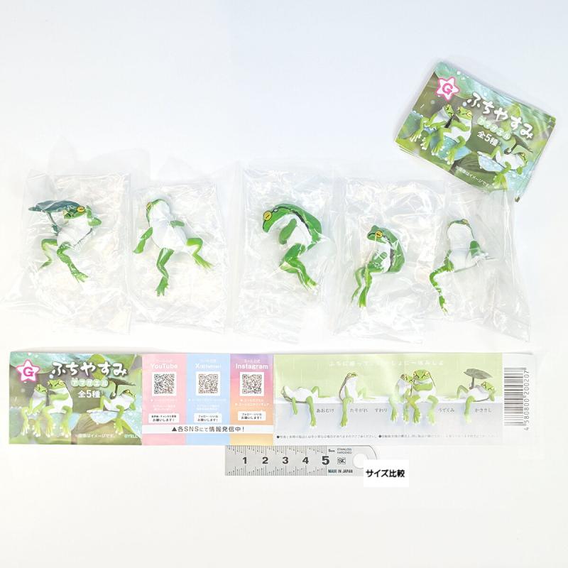 ふちやすみ アマガエル