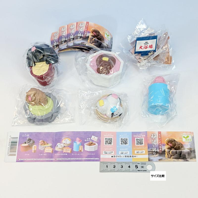 ただいま入浴中 秘湯を訪ねて