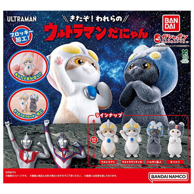 ウルトラマンだにゃん