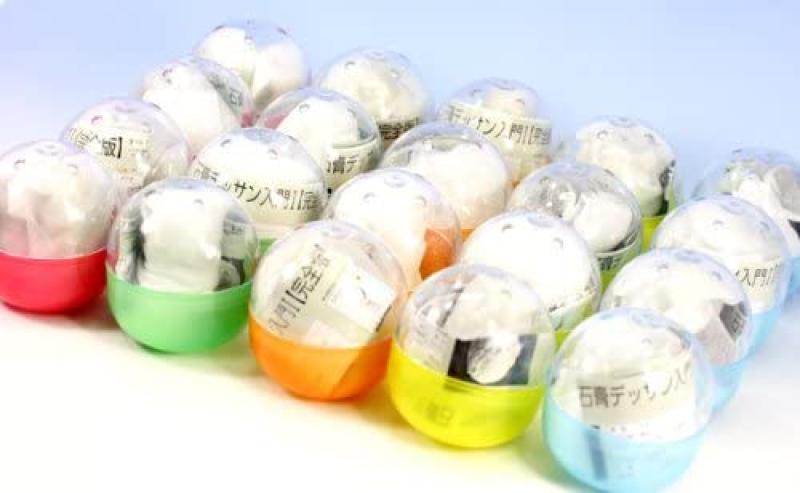 立体カプセル百科事典 石膏デッサン入門I 完全版