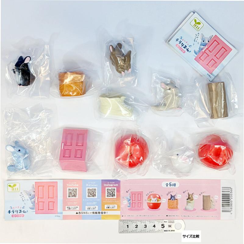 チンチラチラリズム みーっけ！